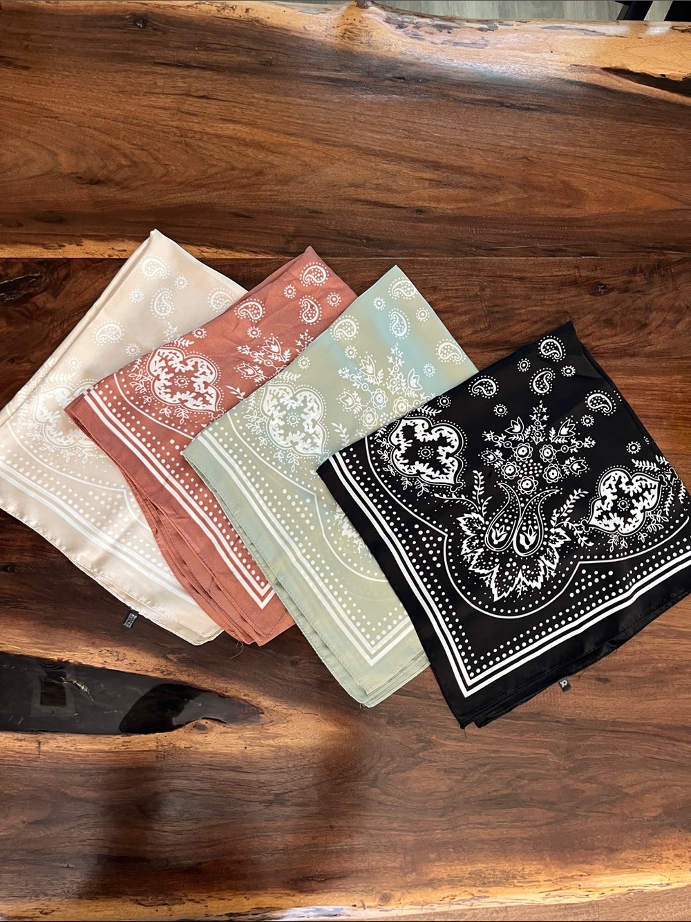 Set of 4 Paisley  Bandanas — Black, Sage, Rust, Cream